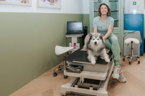 Dierenarts-Lu-1