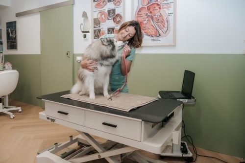 Dierenarts-Lu-10