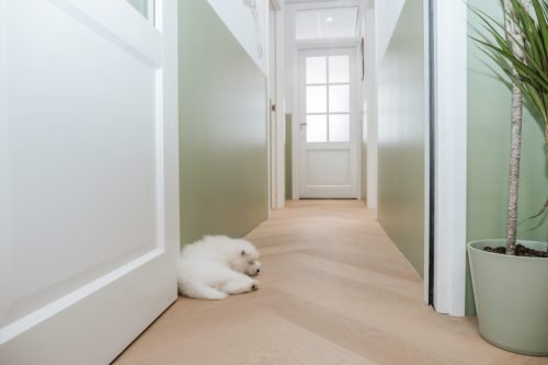 Dierenarts-Lu-28