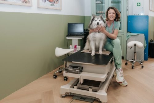 Dierenarts-Lu-5